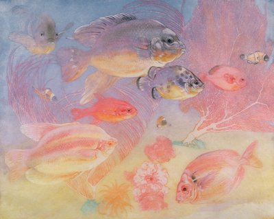 Tropical Fish by Charles Maurice Detmold
